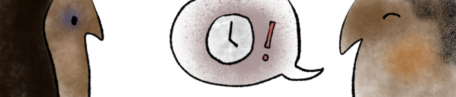 13.png