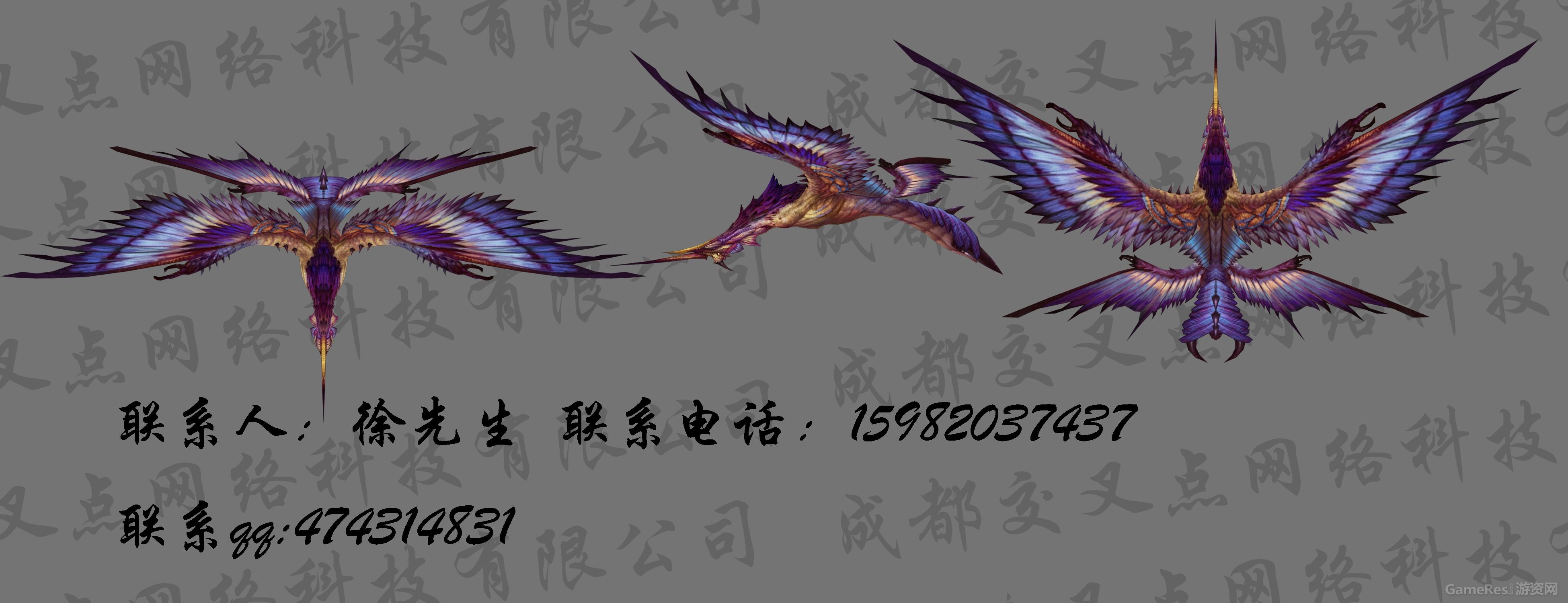 飞行.jpg