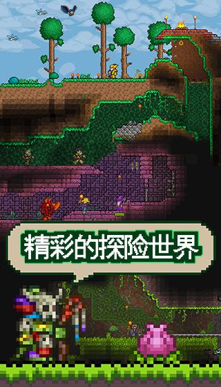 图4.jpg