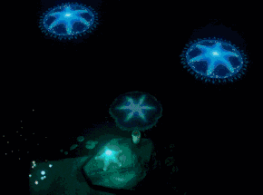 4.gif
