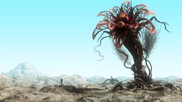 flower_omega_by_vioxtar-d9zubxt.jpg
