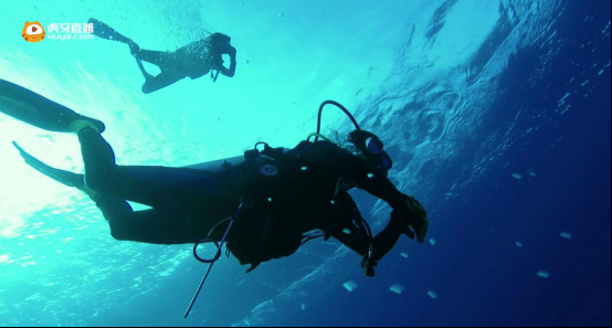 潜水冒险真人秀《极行者》即将开播 美女主播上演鲨口脱险315.png