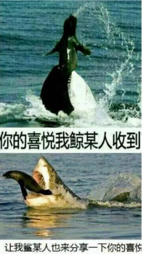 TIM图片20180418094014.png