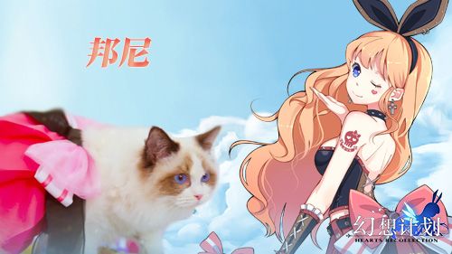 图3.jpg