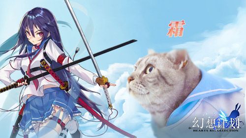 图12.jpg