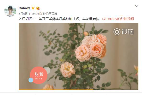 说起现在年轻人最向往的工作269.png