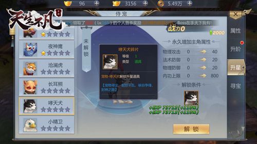 图片4.jpg