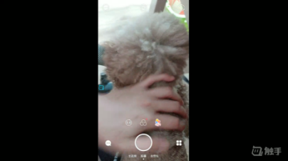 年纪轻轻猫狗双全，剑仙堪称人生赢家284.png
