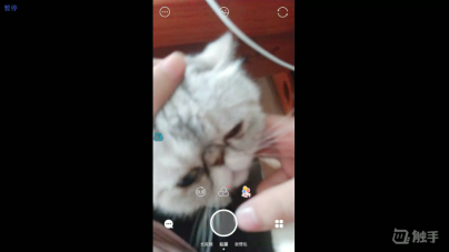 年纪轻轻猫狗双全，剑仙堪称人生赢家285.png