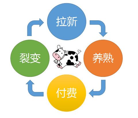 微信图片_20180620104924.jpg