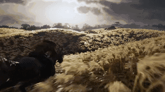 14.gif