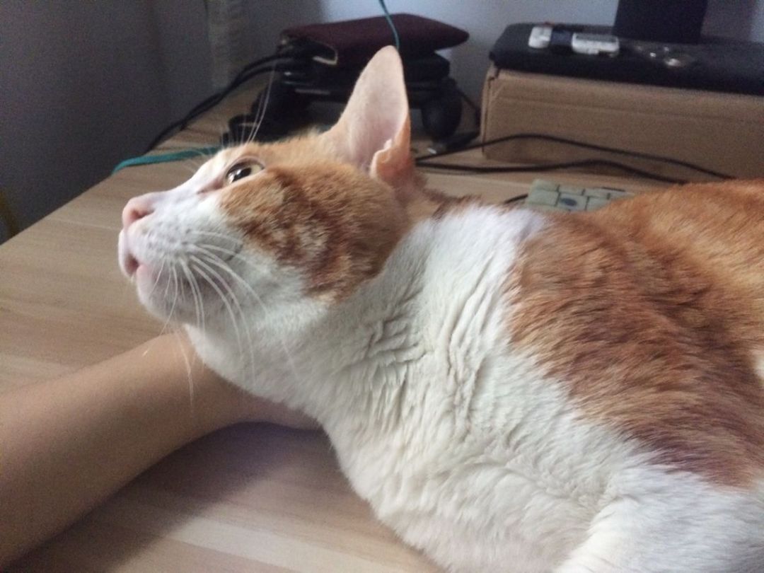 微信图片_20180704092307.jpg