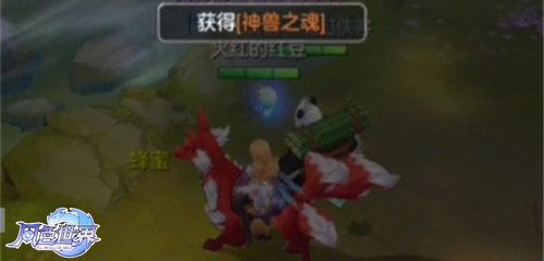 图片8.jpg