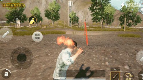06.jpg