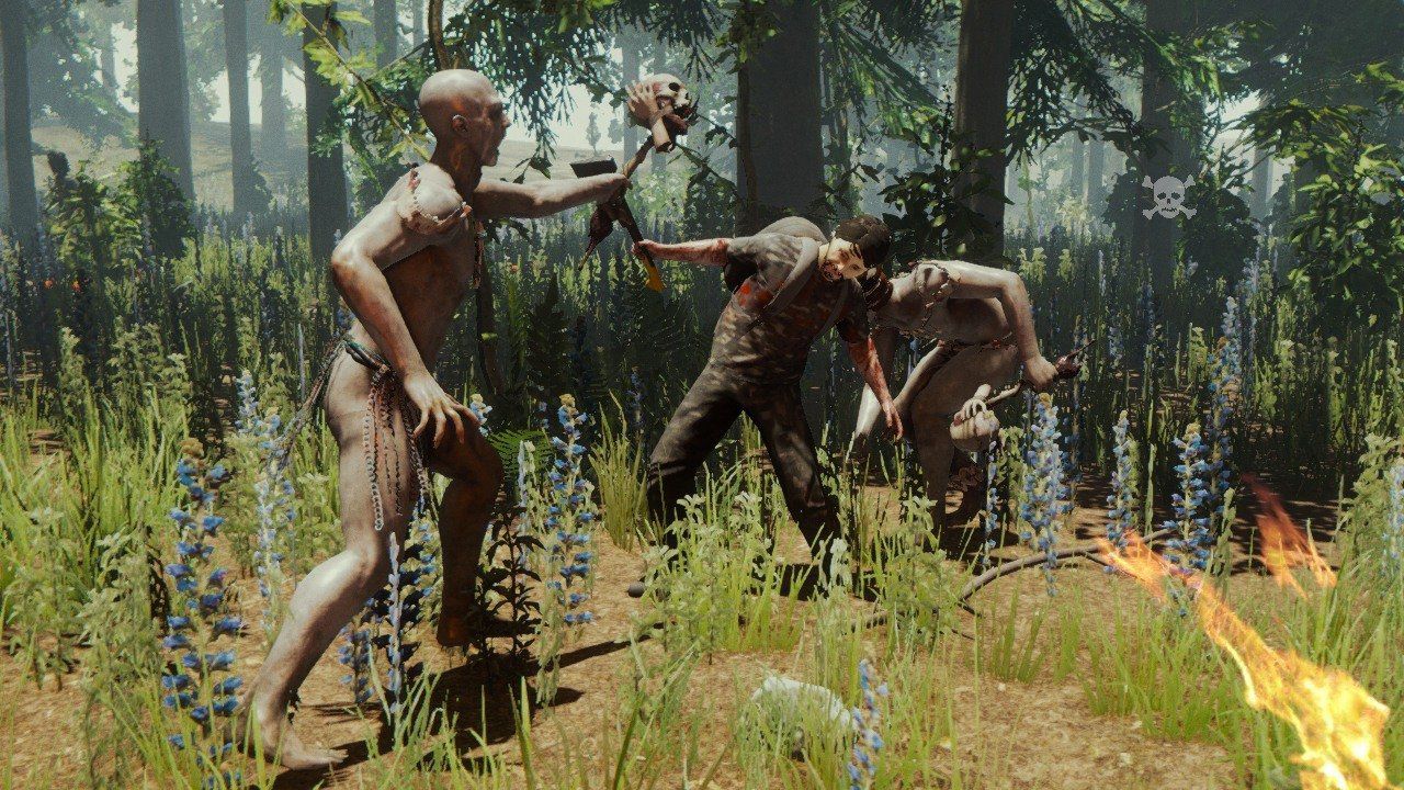 the-forest-review_cp75.jpg