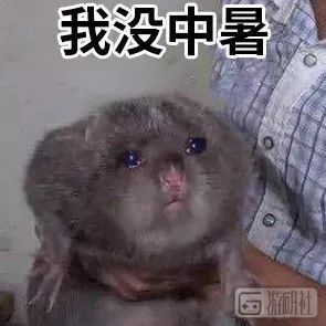 30.jpeg