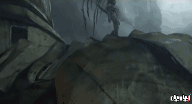 9.gif