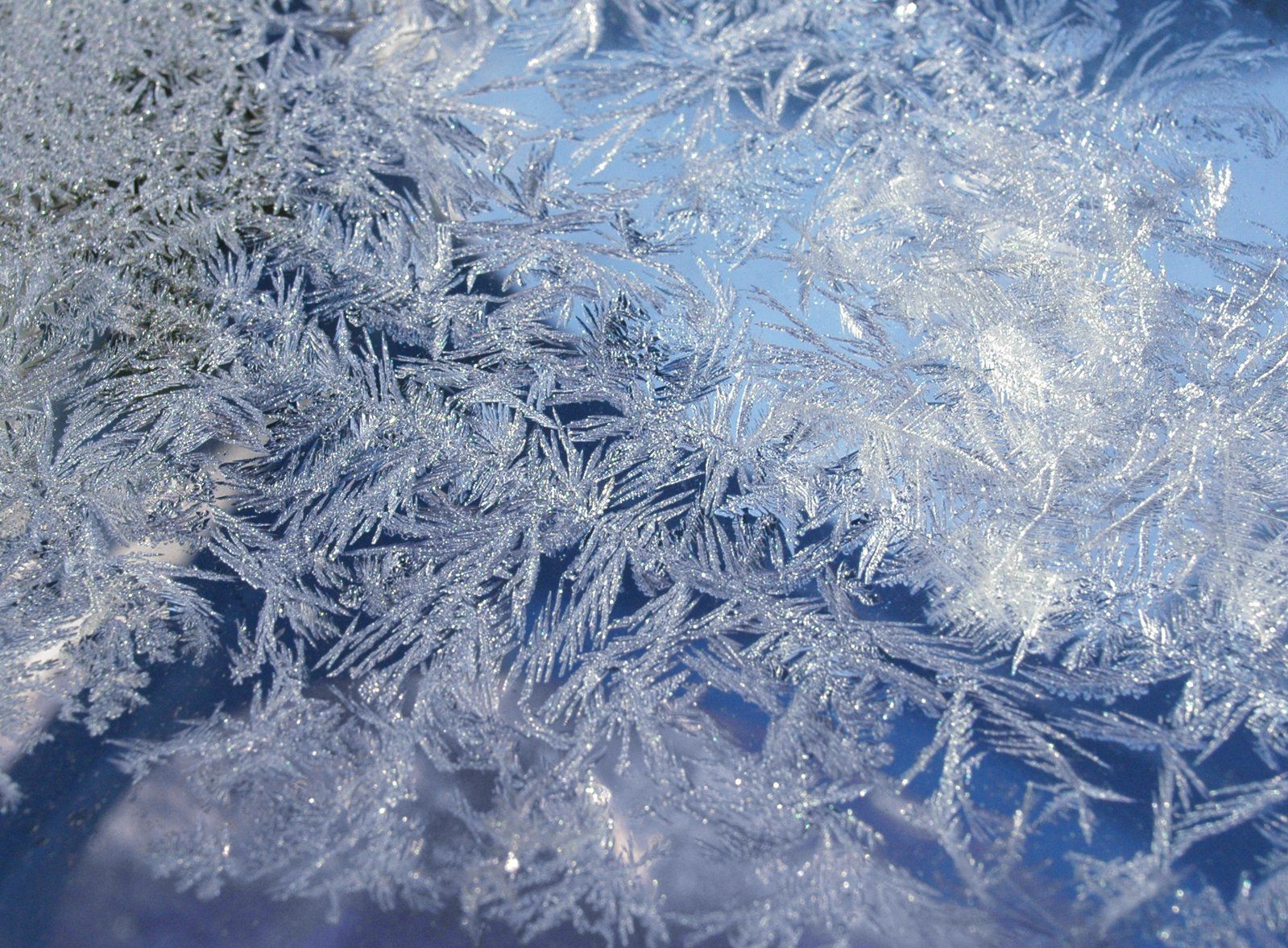 winter-texture-1186192.jpg