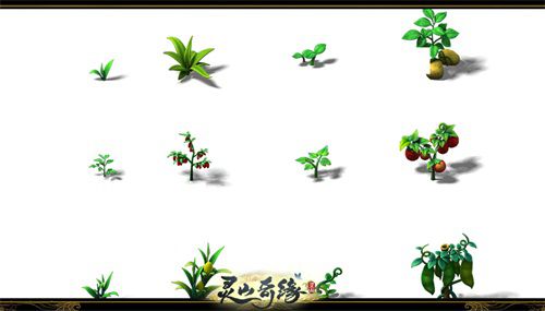 图6.jpg