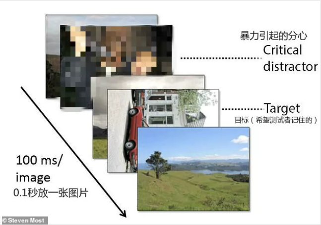 下载 (2).png