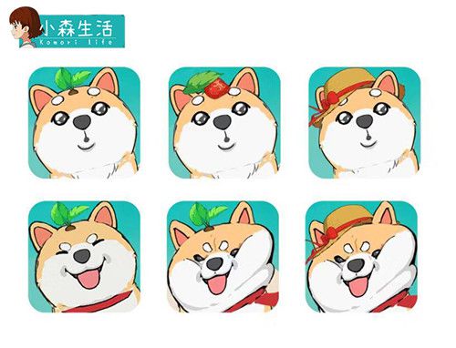 图4.jpg