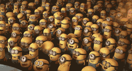 13.gif