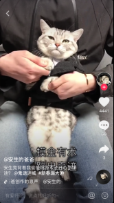 有颜色无人设，《鬼语迷城》抖音挑战赛邀你一起蹦进新年410.png