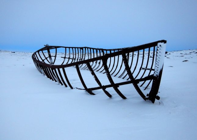 desolatewinter.jpg