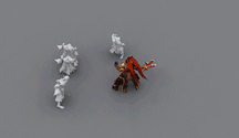 9.gif