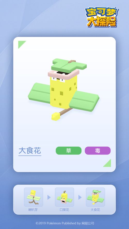 图3：大食花.jpg