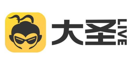 大圣矩形logo.png