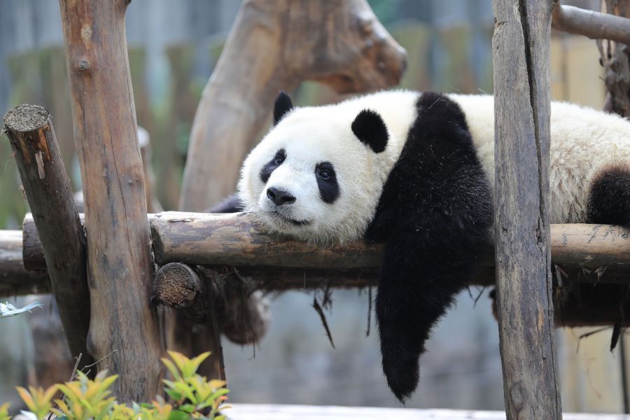 图4.jpg