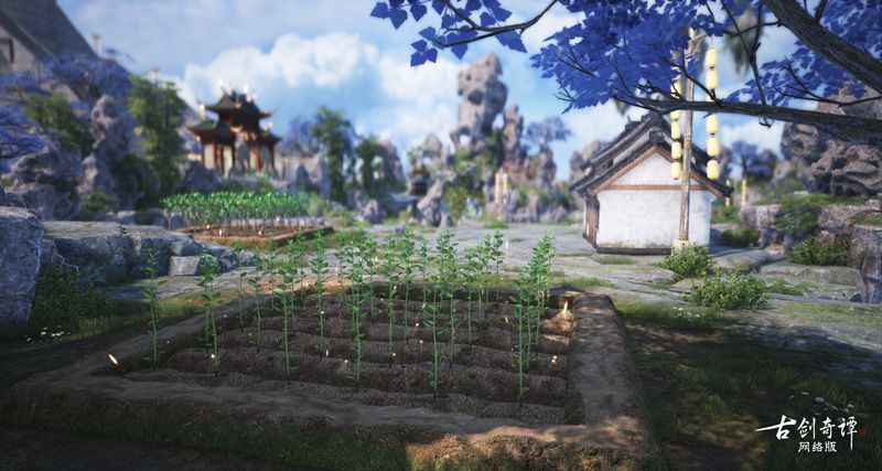 图010种植与收获.jpg