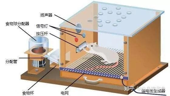 遊戲設計中的黑暗原力