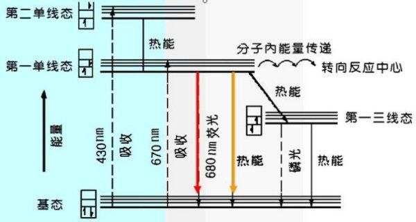 指哪打哪的遊戲是如何實現的？ 揭祕光槍背後的原理