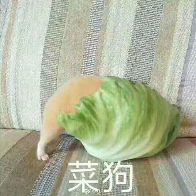 图9.jpg