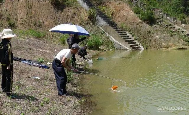 為什麼我們總樂此不疲的在遊戲中釣魚？