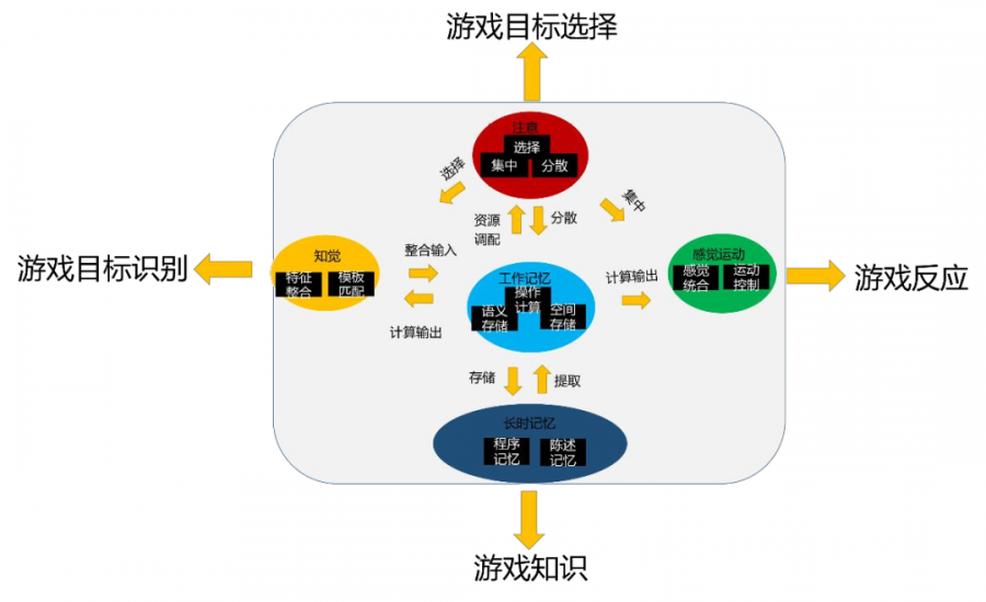 電子科大教授：遊戲是如何讓大腦“變聰明”的？