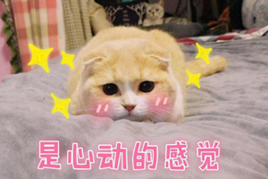 图片13.png