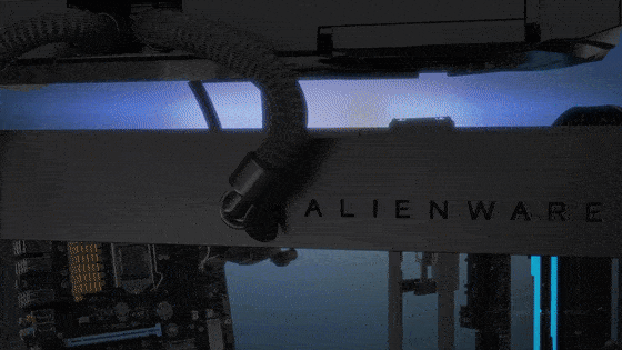 image012.gif