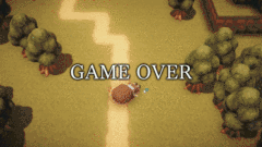 image009.gif