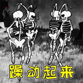 图片1.JPG