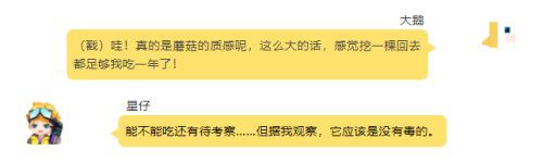 图8.jpg