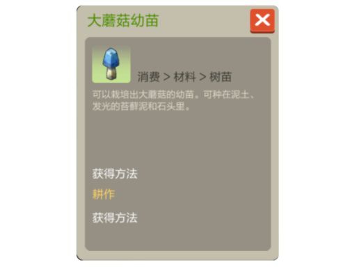 图11.jpg