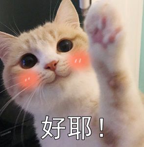 图片2.JPG