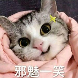 图片7.JPG