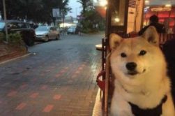 微信图片_20210421100044.JPG