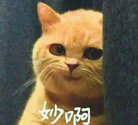 图8.jpg