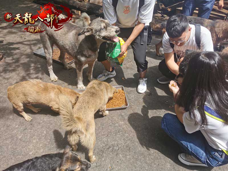 图3：小动物们都很喜欢这群善良的人们.jpg