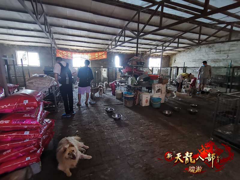 图11：准备开始干活啦.jpg